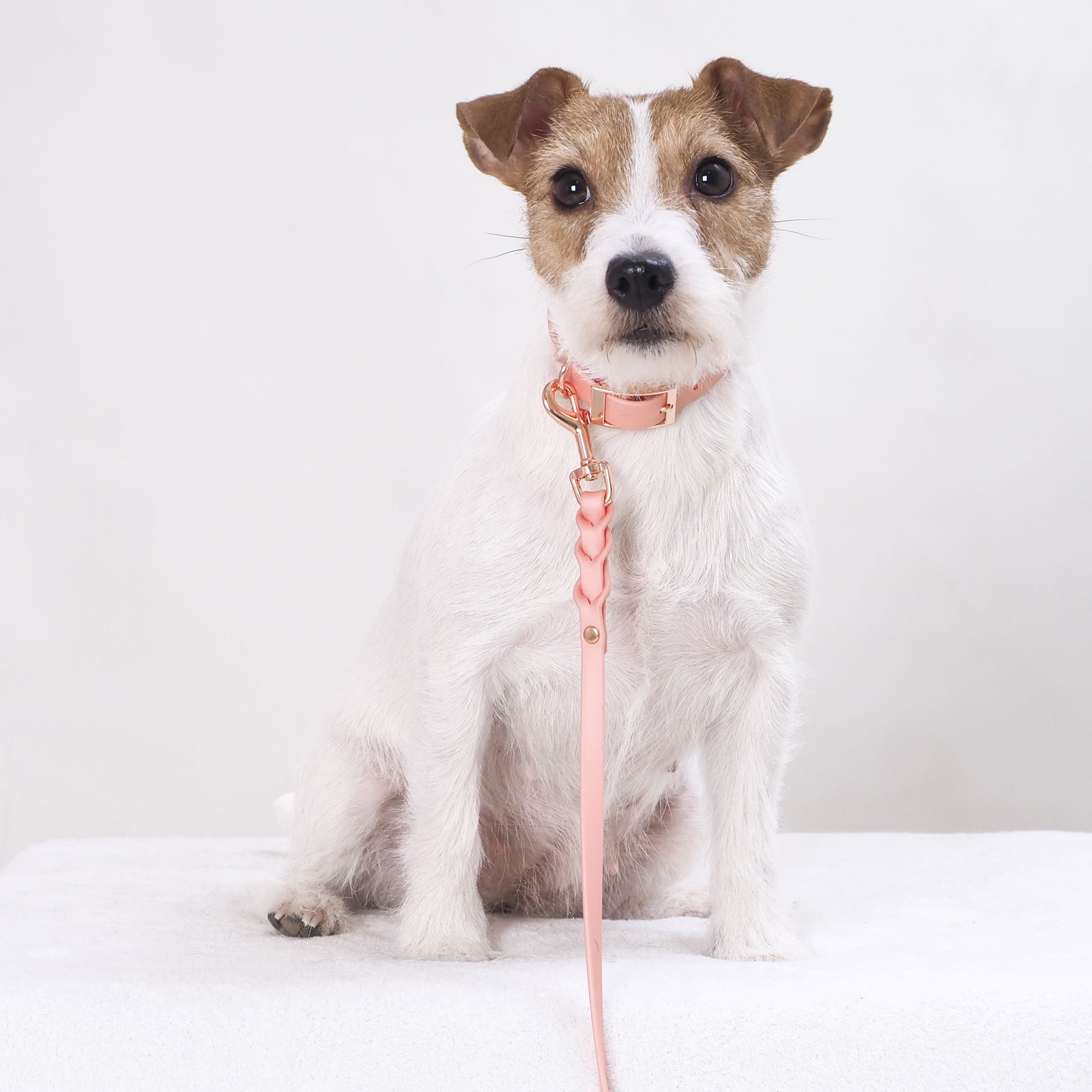 Tyylivoitto Classy narrow collar, peach/rosegold