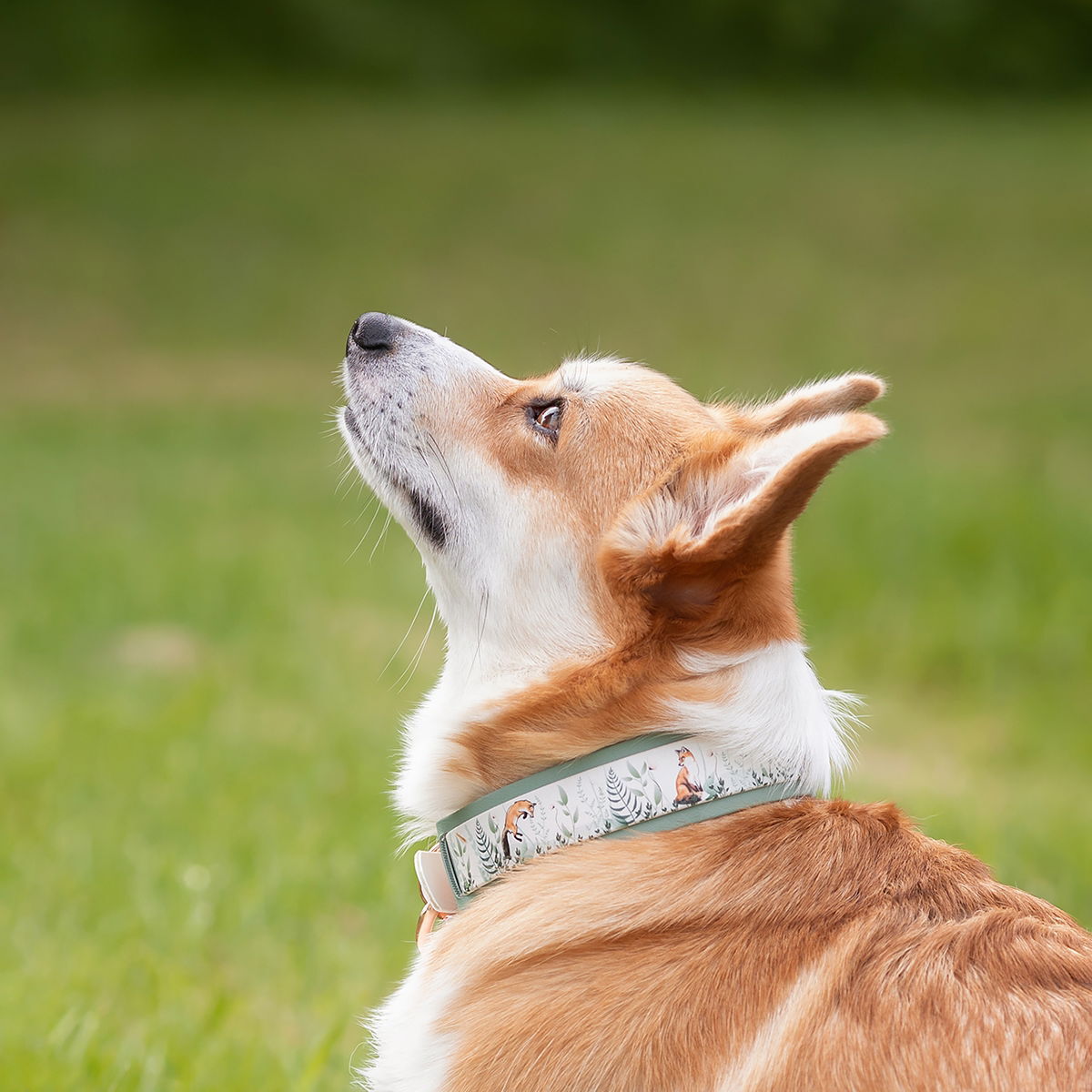 Tyylivoitto collar extender, sage