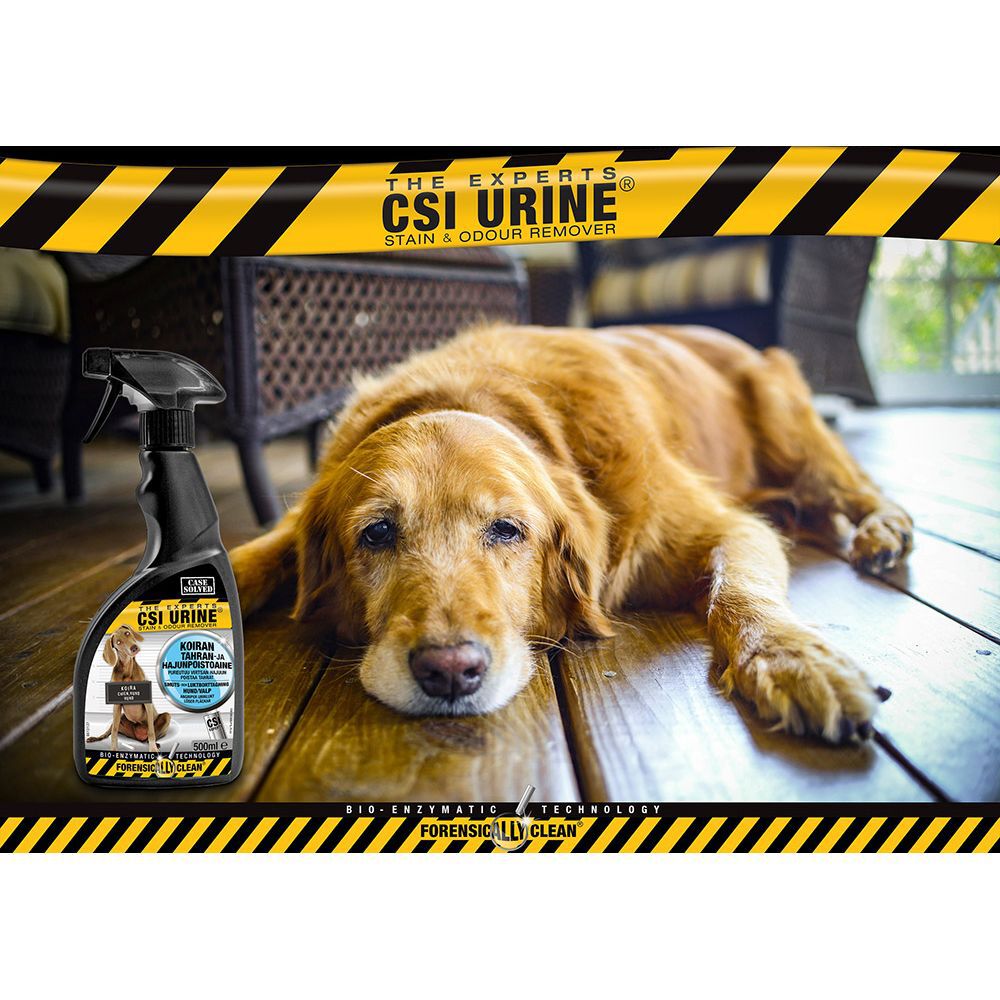 CSI Urine Dog suihke