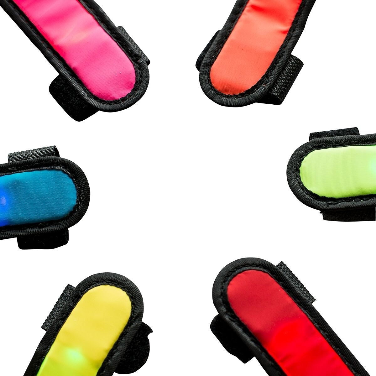 Active Canis Pet collar attacher