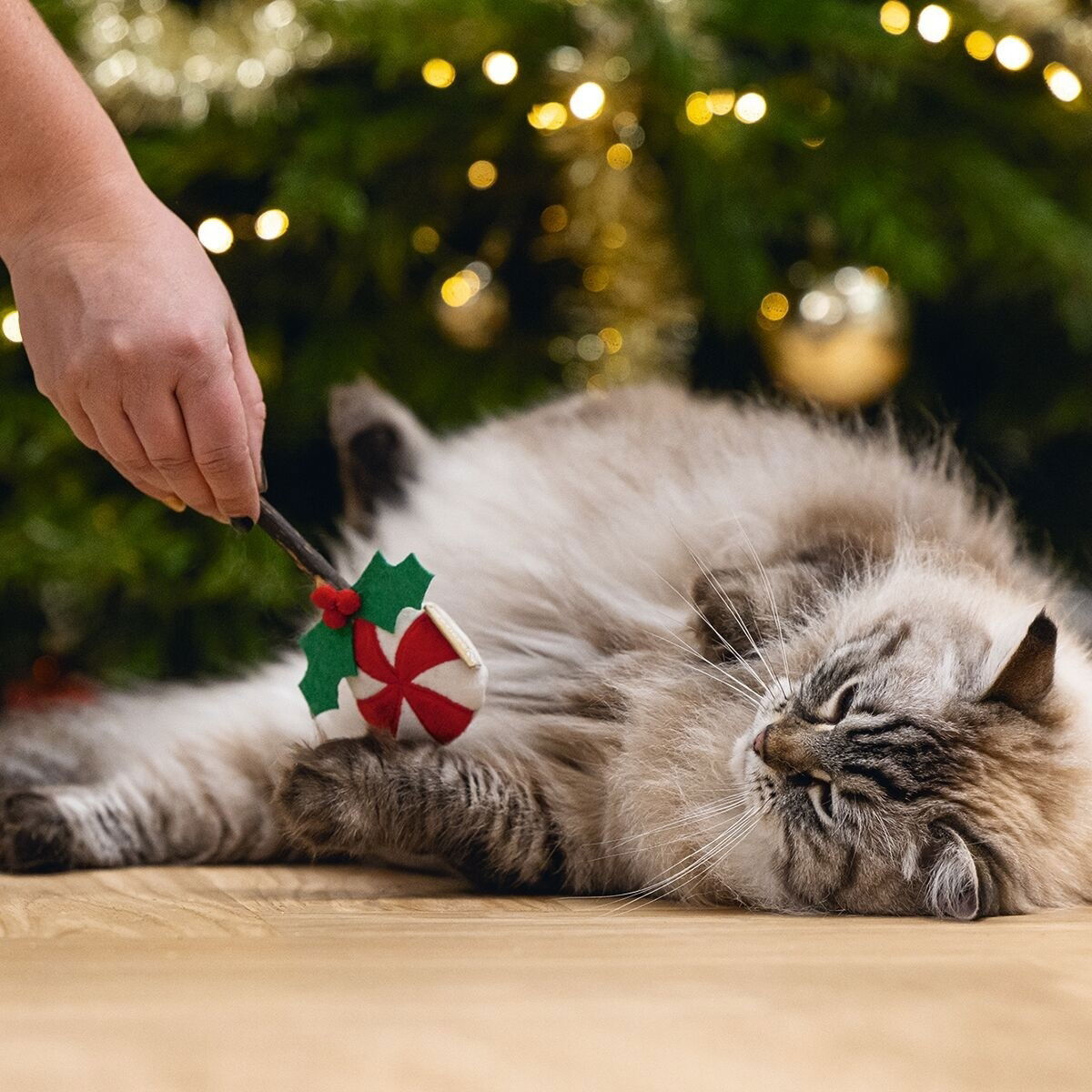 Beeztees Matatabi Lollipop