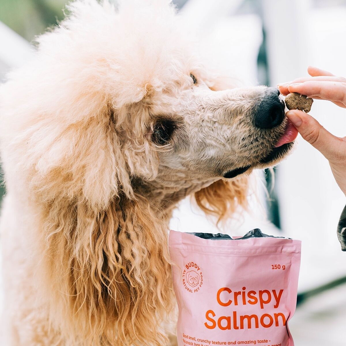 Buddy Crispy Salmon 150g