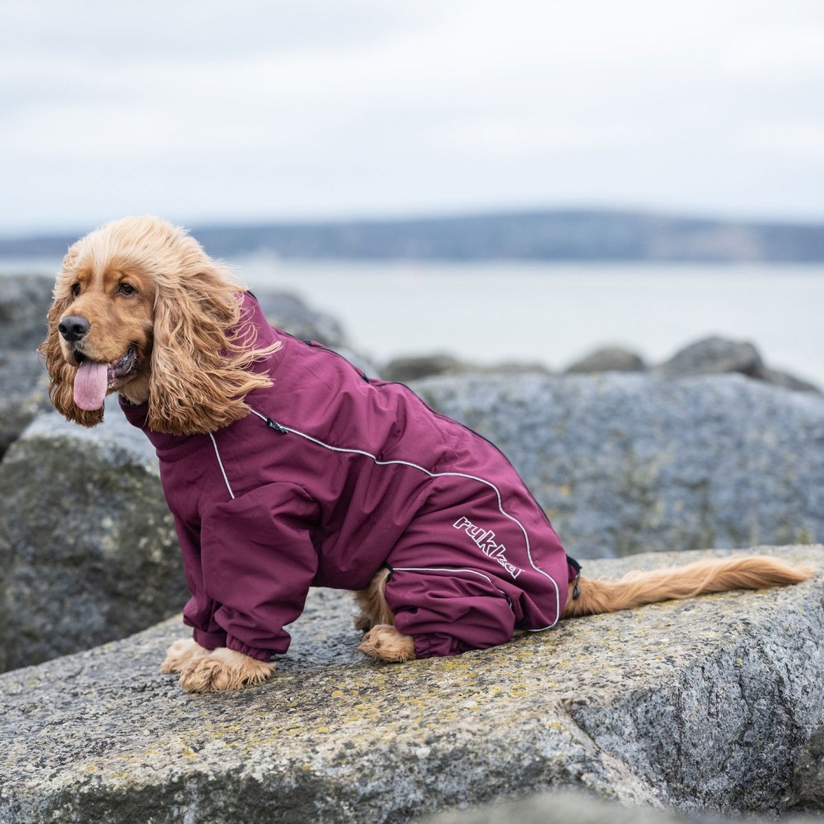 Rukka Thermal koiran talvihaalari, viininpunainen