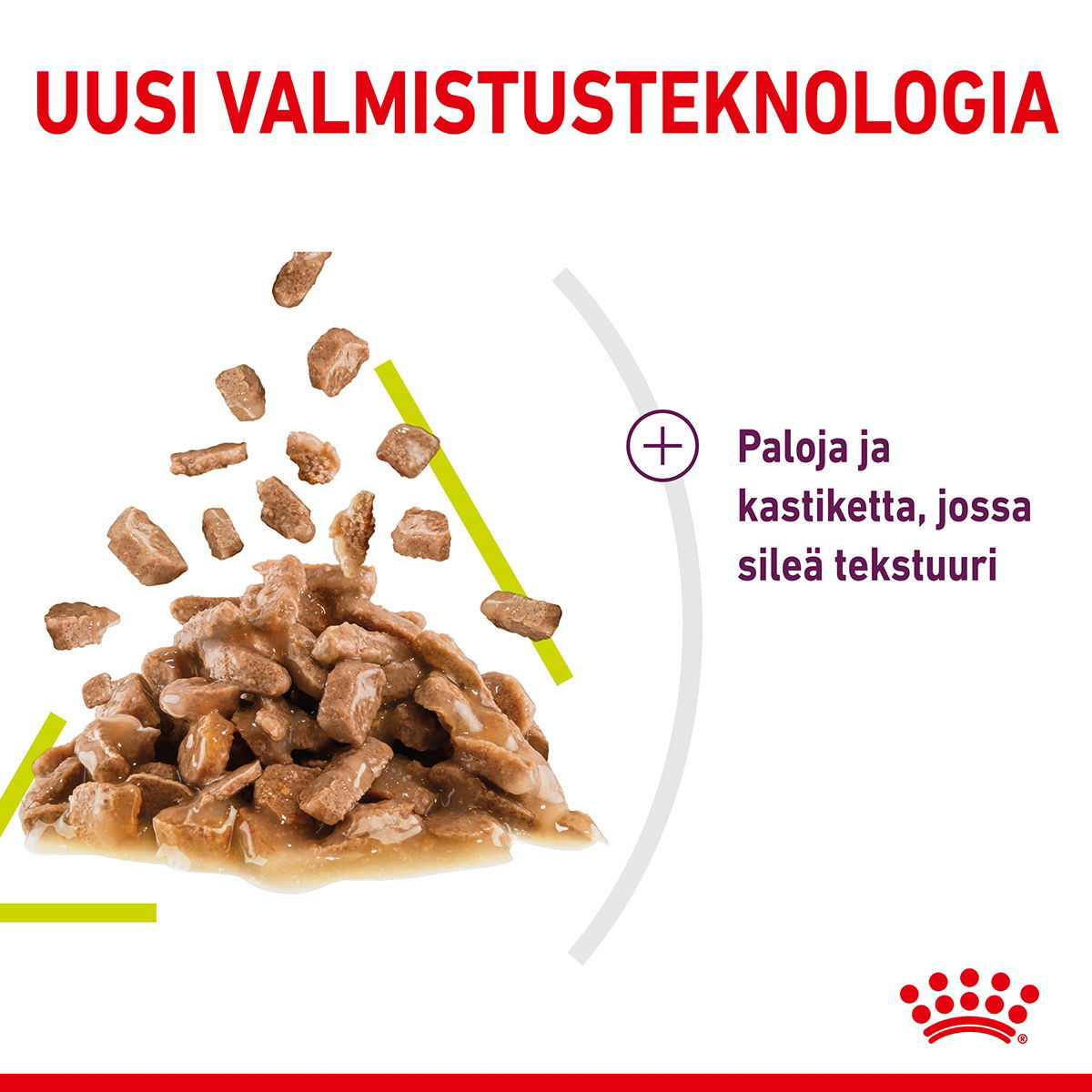 Royal Canin Sensory Smell Gravy Adult kissan märkäruoka