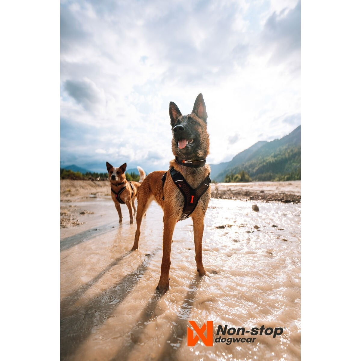 non-Stop Rock säädettävä panta musta/oranssi