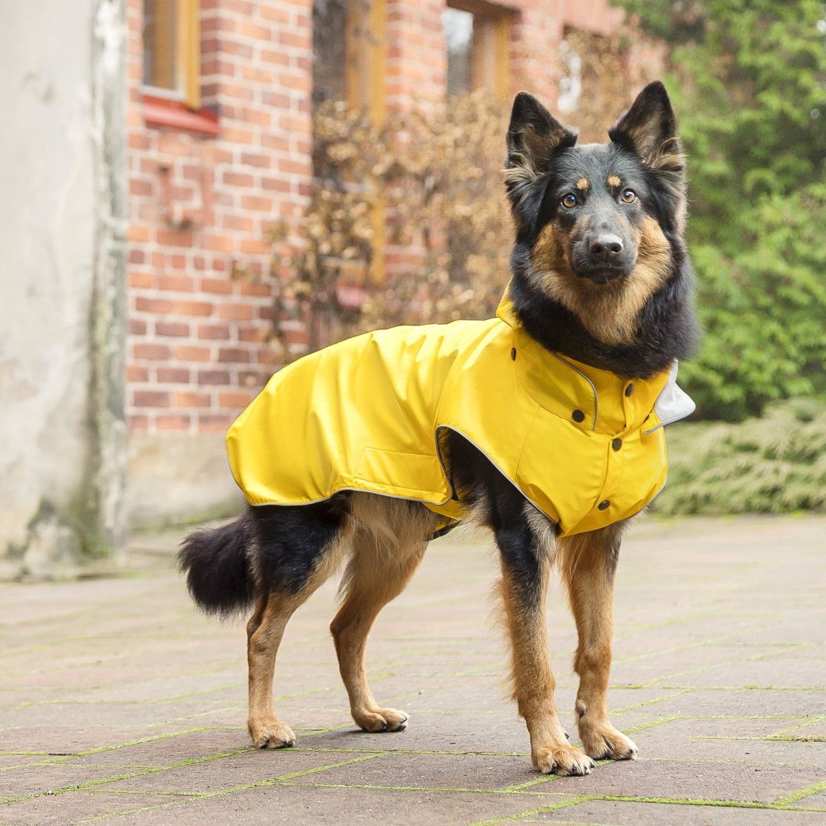 Rukka Stream sadetakki keltainen