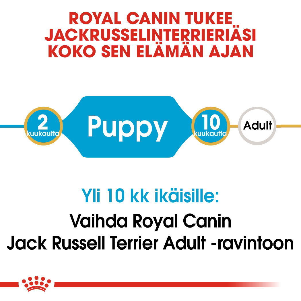 Royal Canin Jack Russel Puppy koiranpennun kuivaruoka