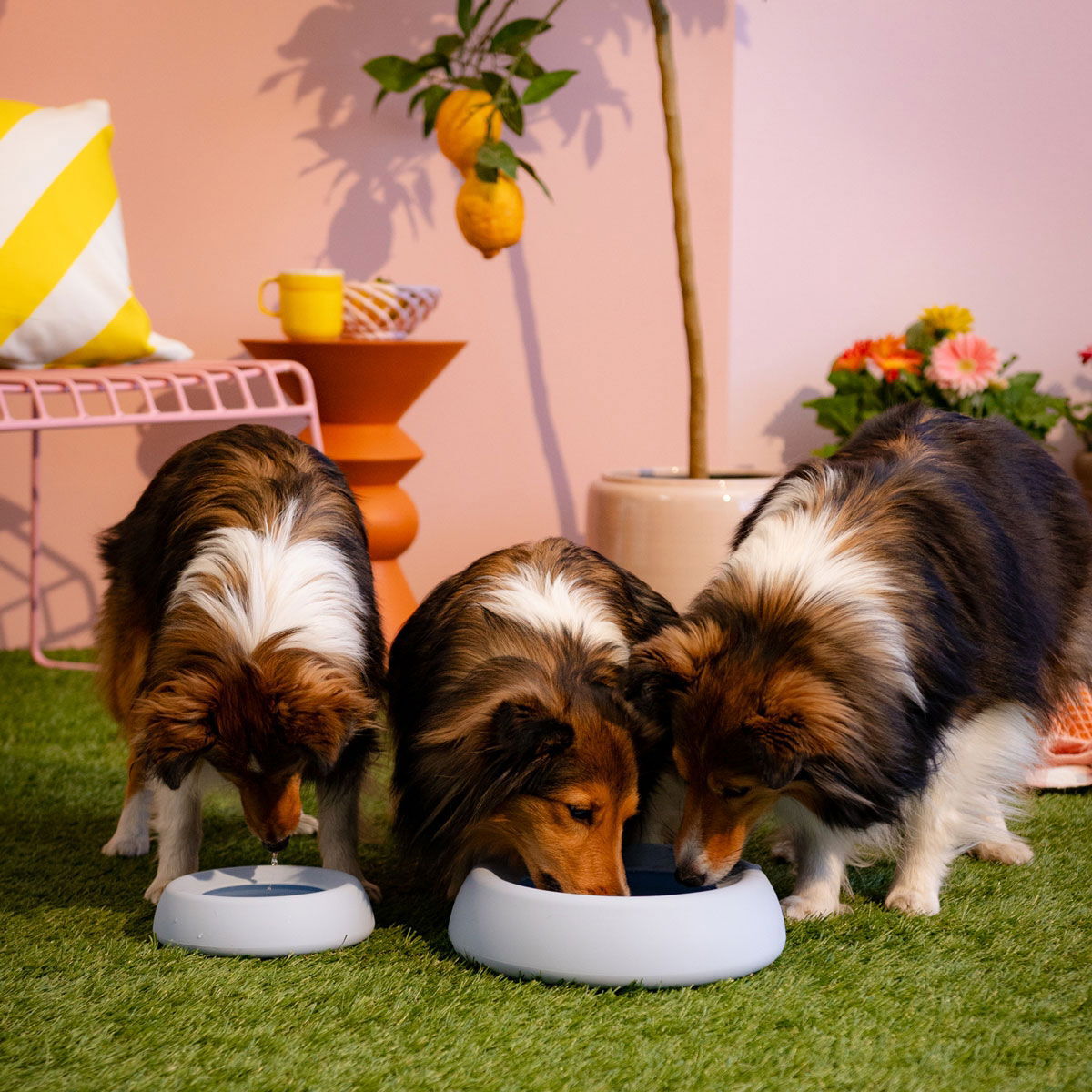 Little&Bigger Voyage no-spill silikoninen matkavesikuppi vaaleansininen