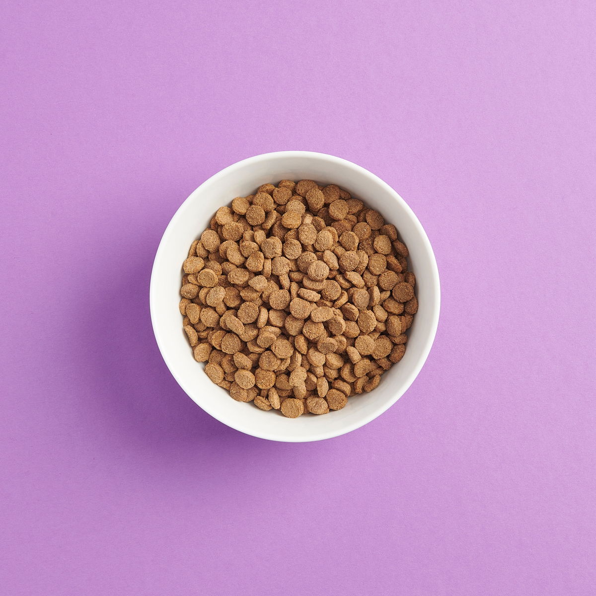 SMAAK kana steriloidulle kissalle