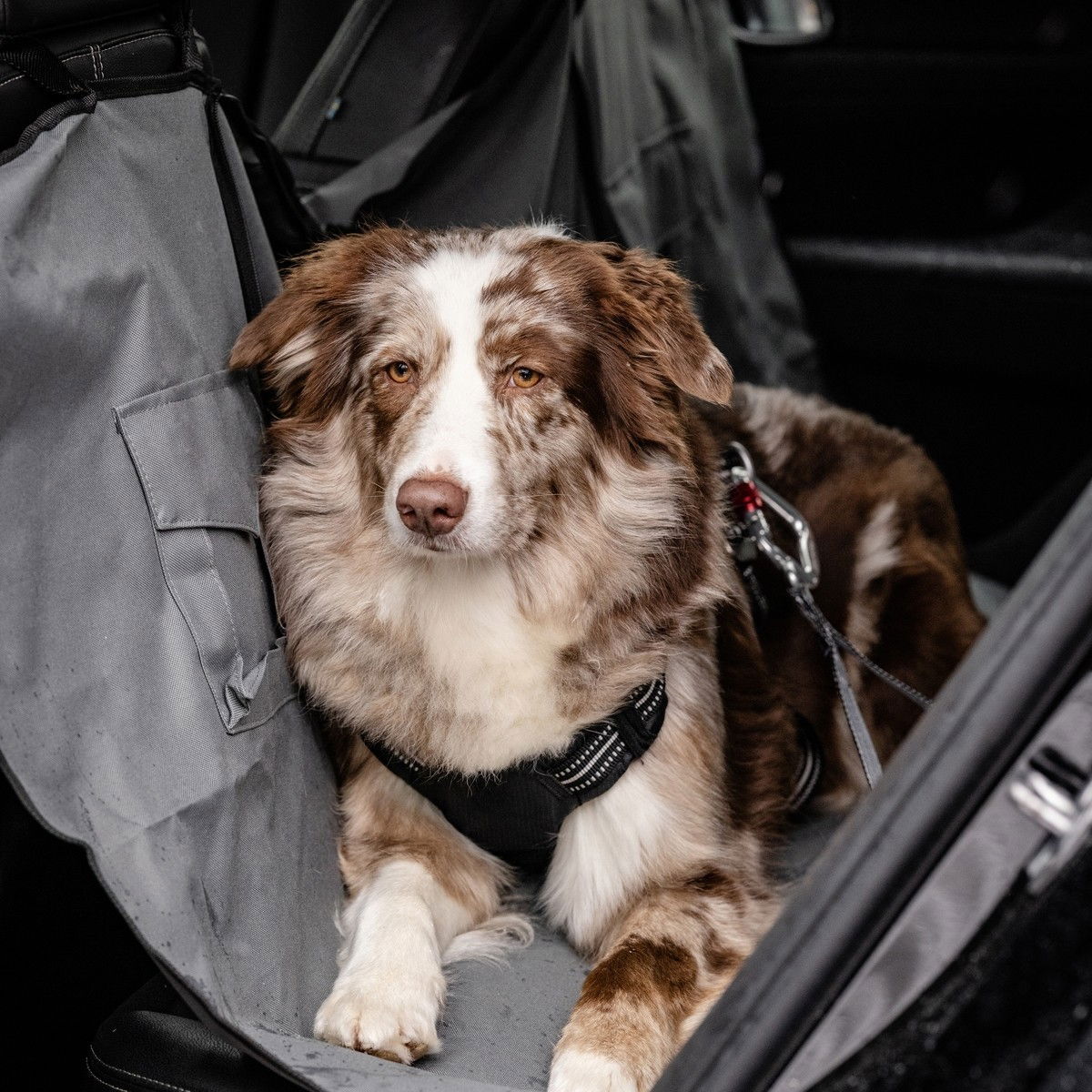 Feel Active Car Heavy Duty turvavyökiinnike L