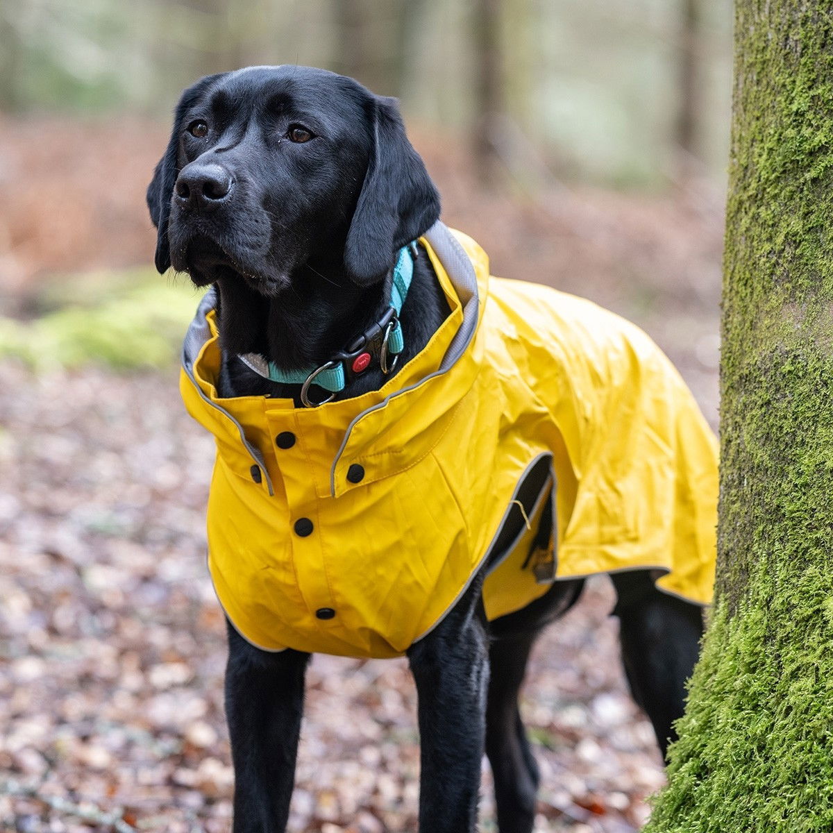 Rukka Stream sadetakki keltainen