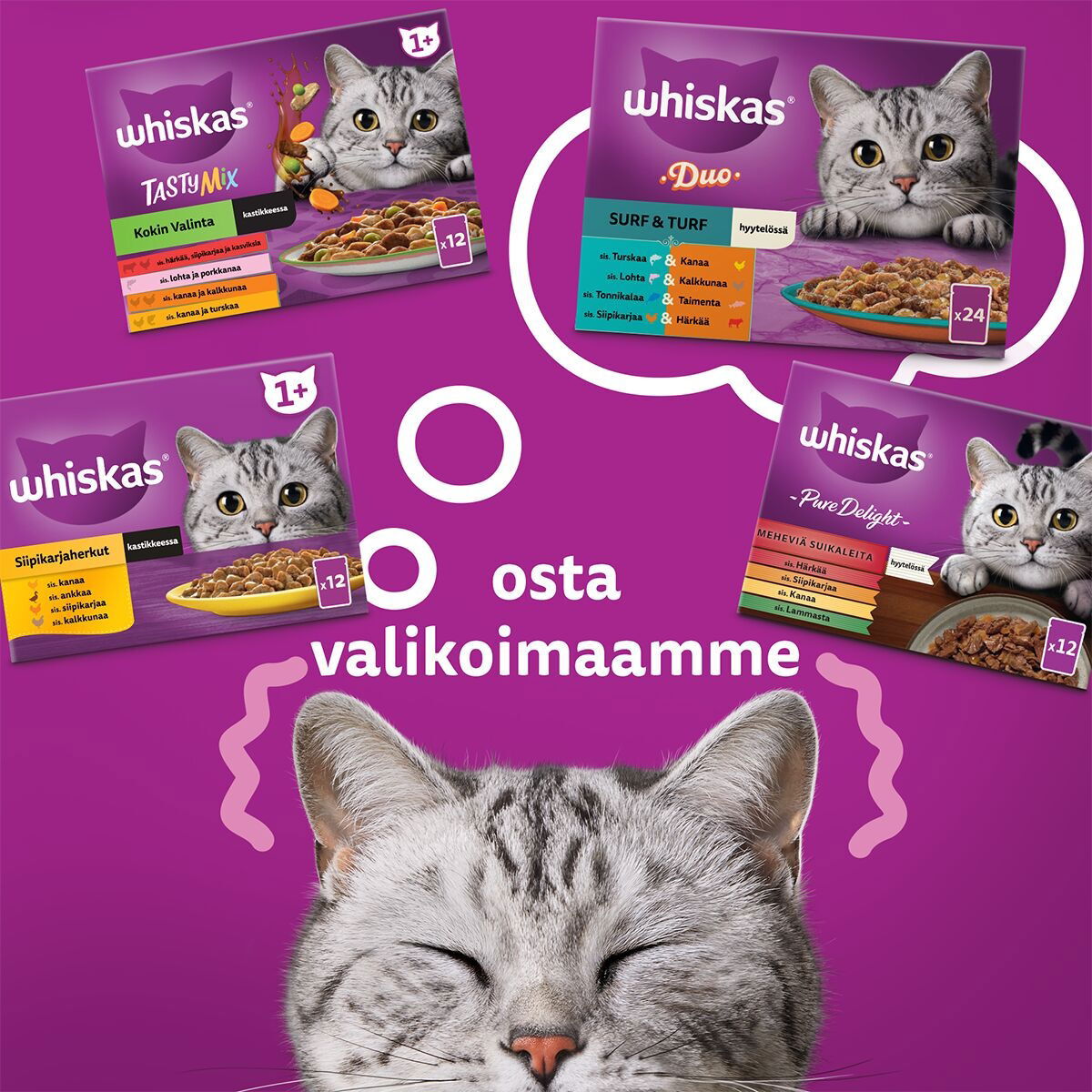 Whiskas 1+ jelly 40x85g