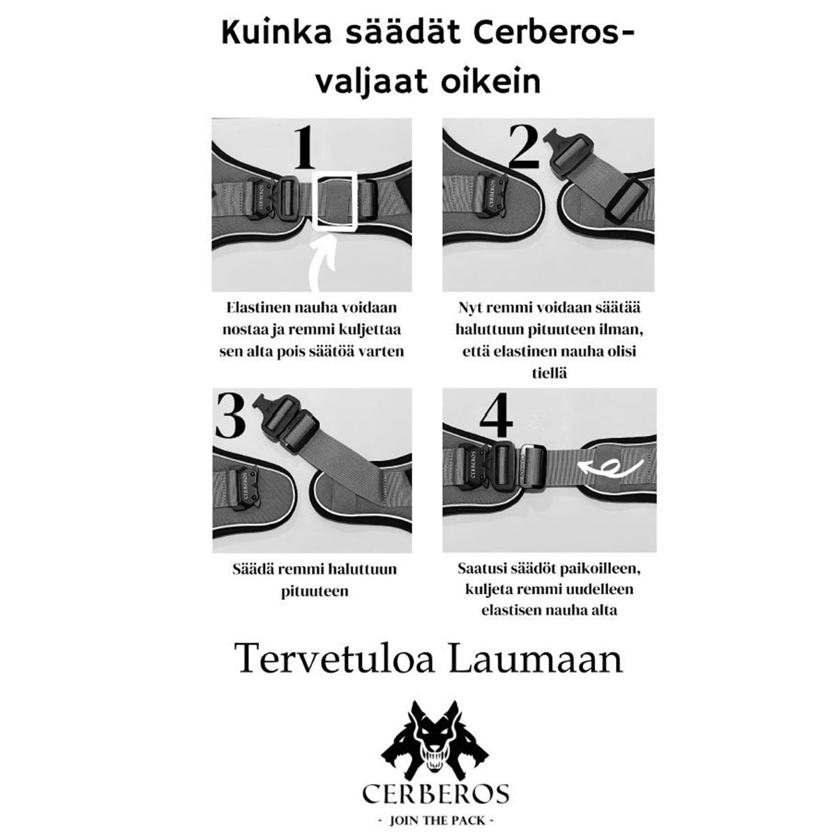 Cerberos Active valjaat musta