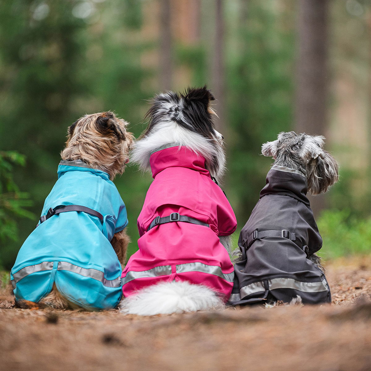 KuoriPomppa Graphite