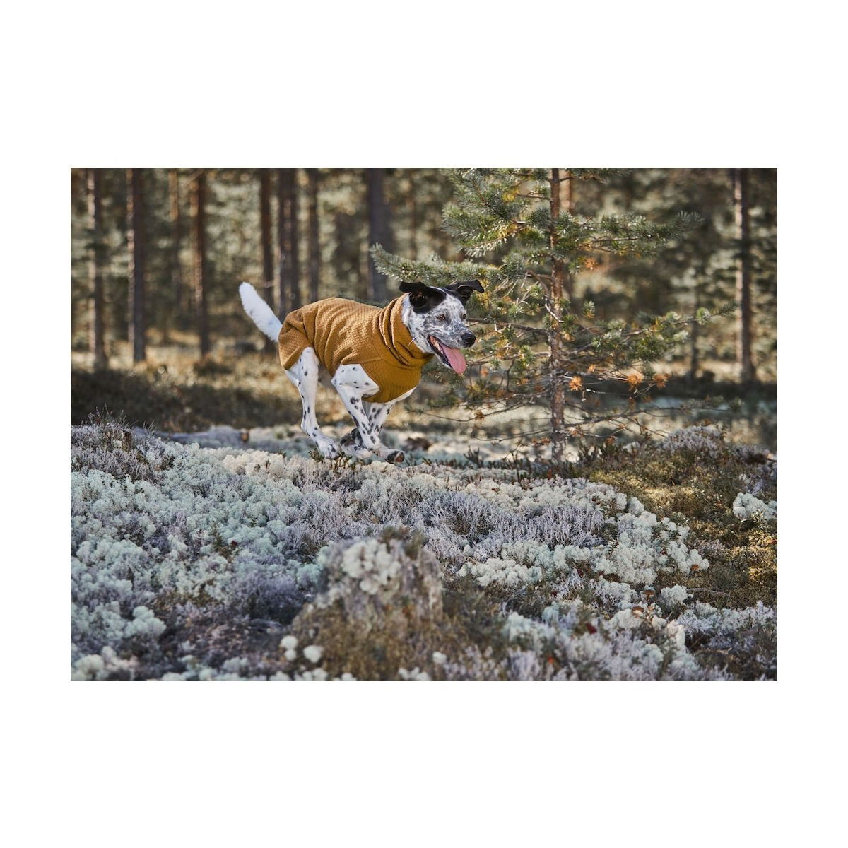 Hurtta Warming ECO väliasu aavikko