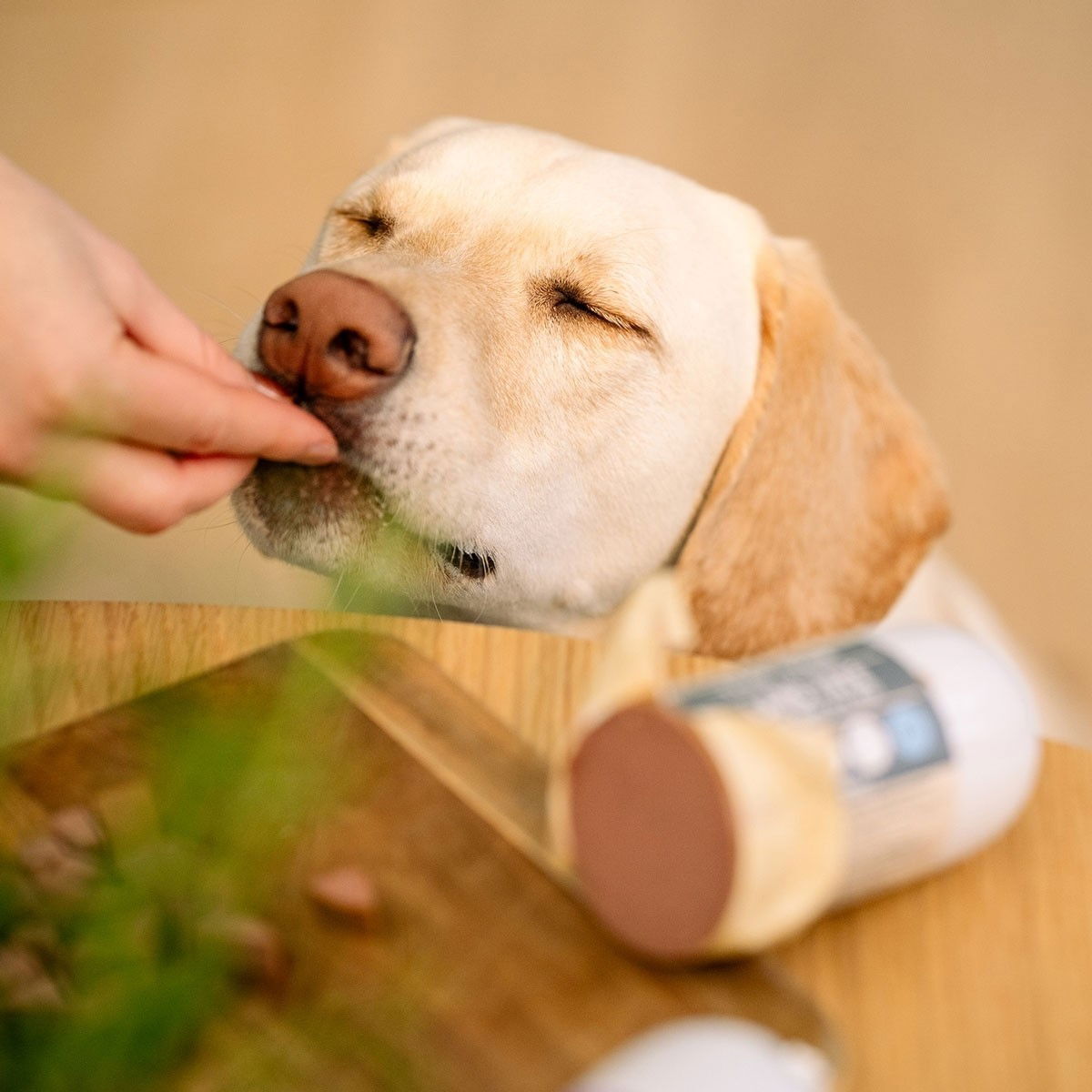 Trick&Treat Paté Treenimakkara Kalkkuna