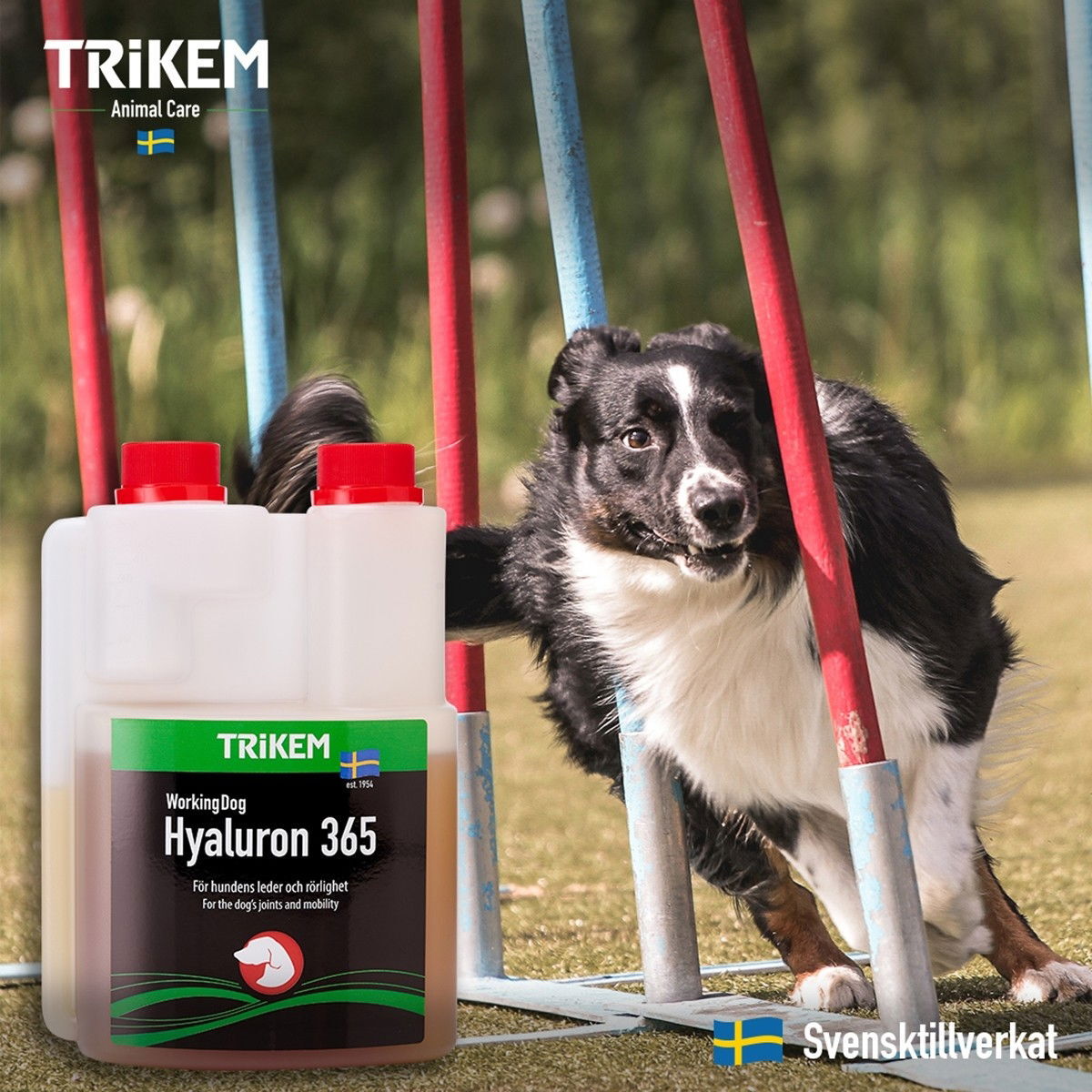 TRIKEM WorkingDog Hyaluron 365 