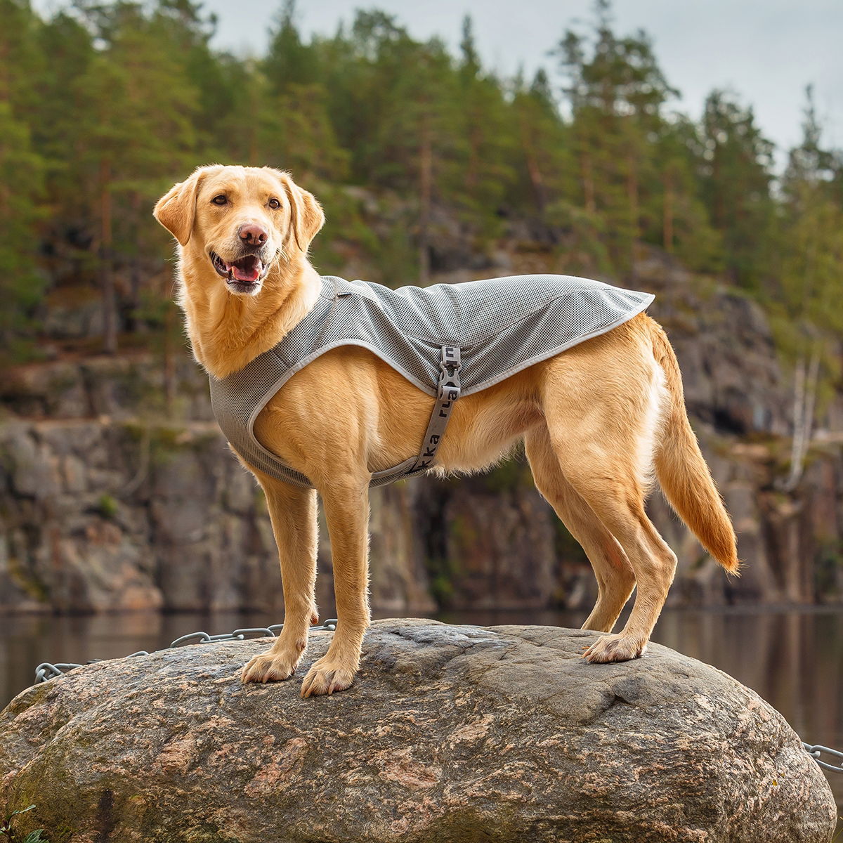 Rukka viilennysmantteli harmaa