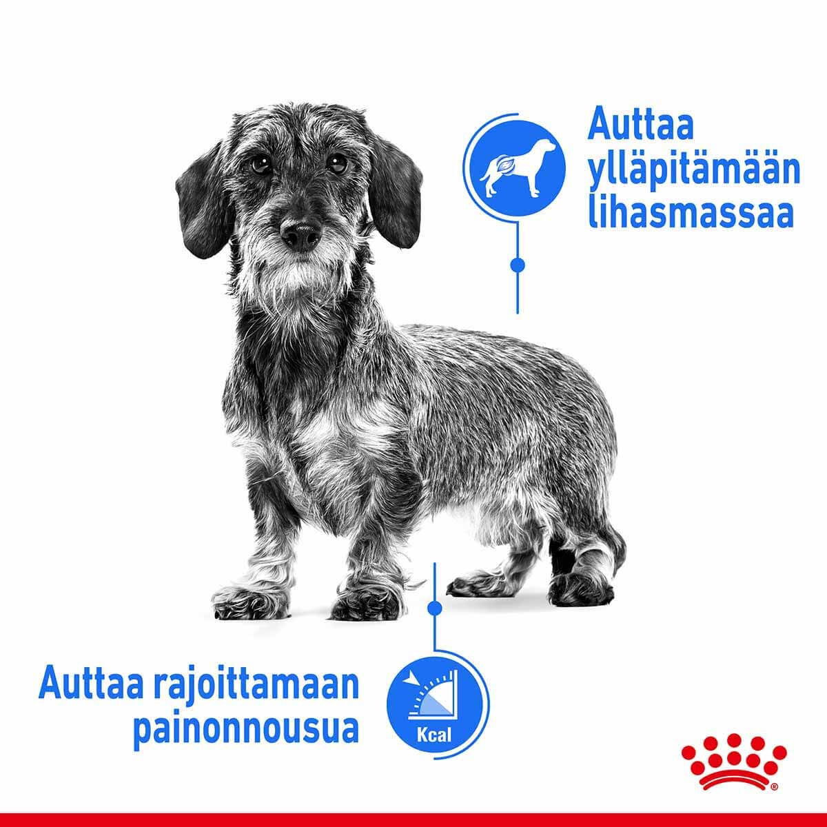 Royal Canin Light Weight Care Mini Adult koiran kuivaruoka