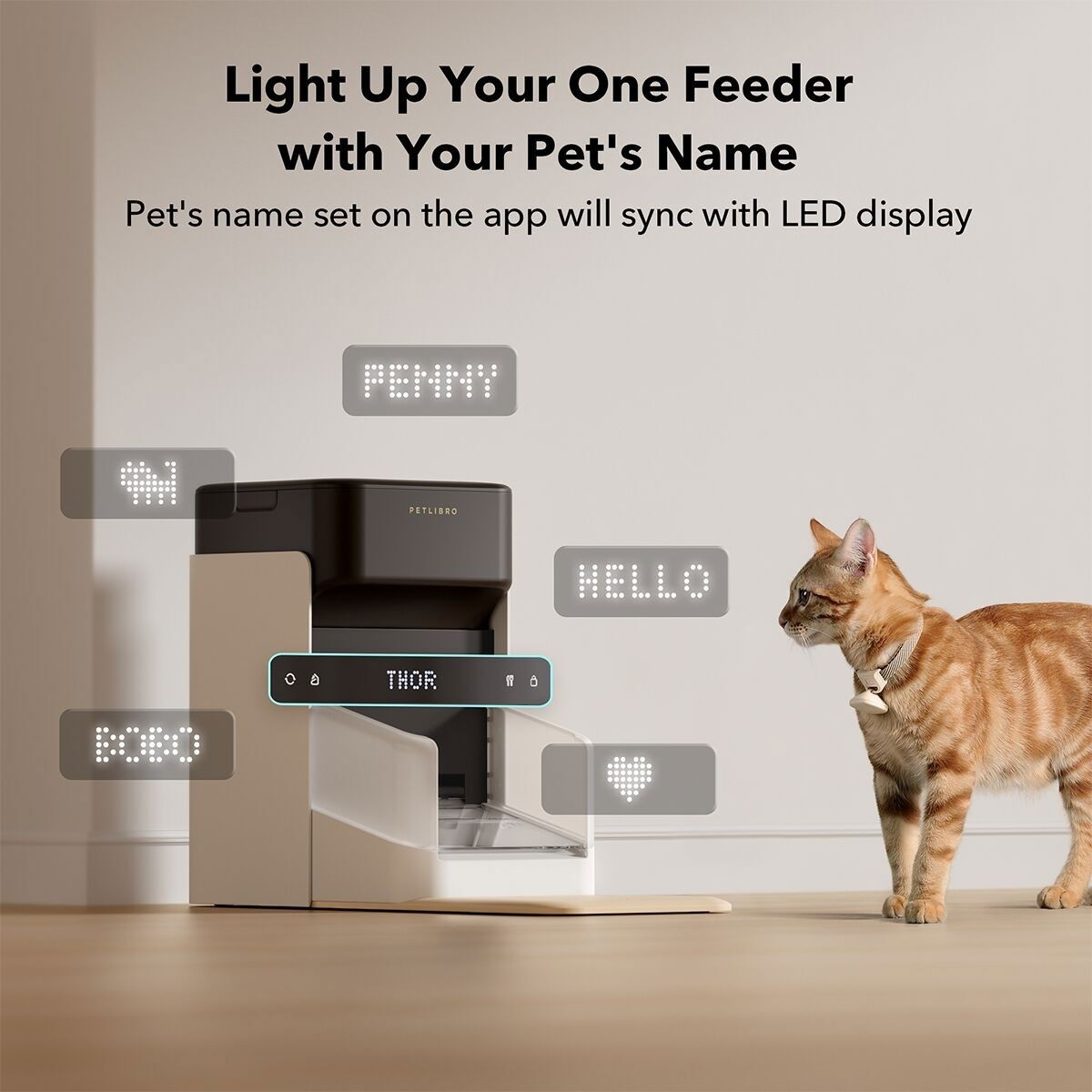 Petlibro one RFID Pet Feeder