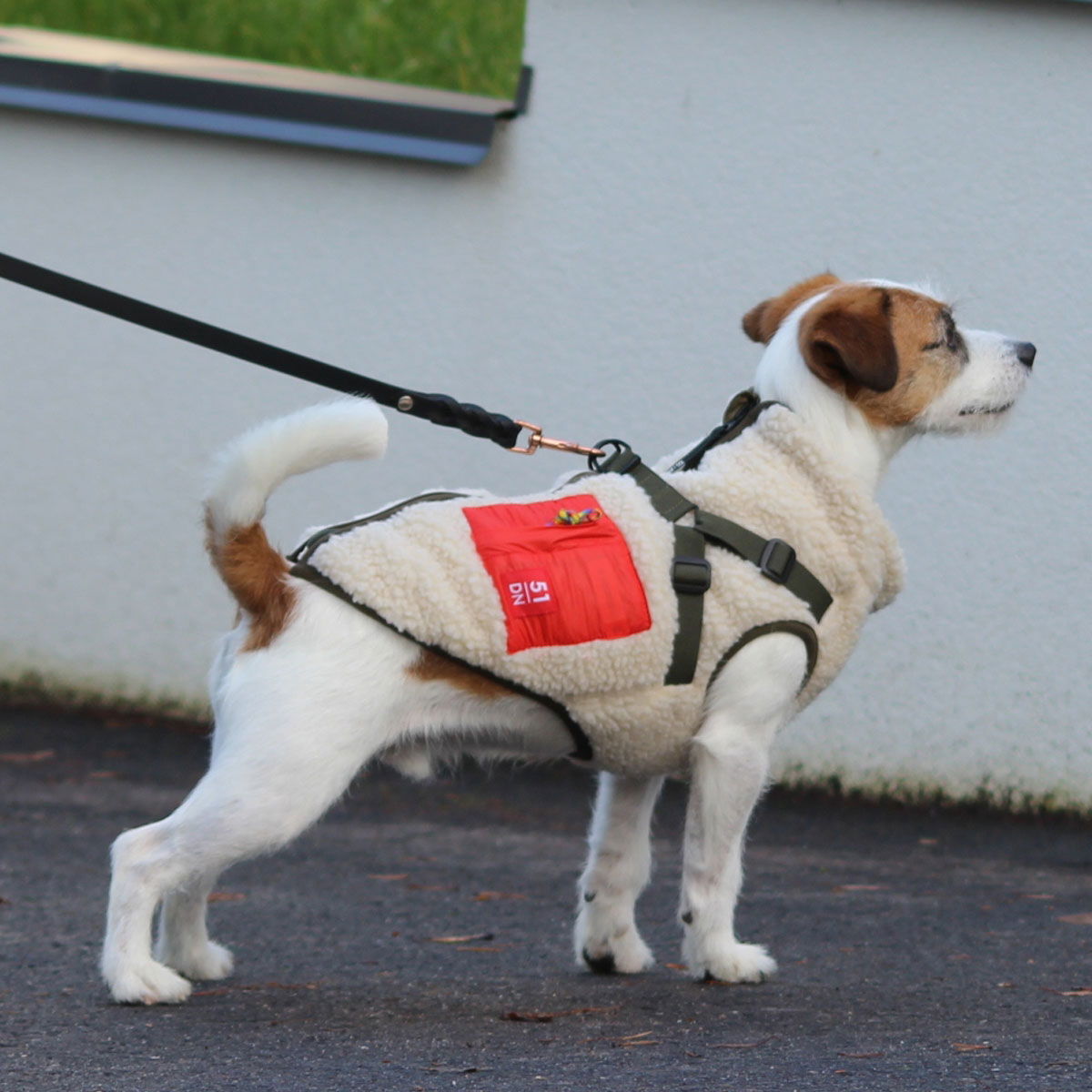 51 Degrees North Jules Harness Coat, Beige/Olive