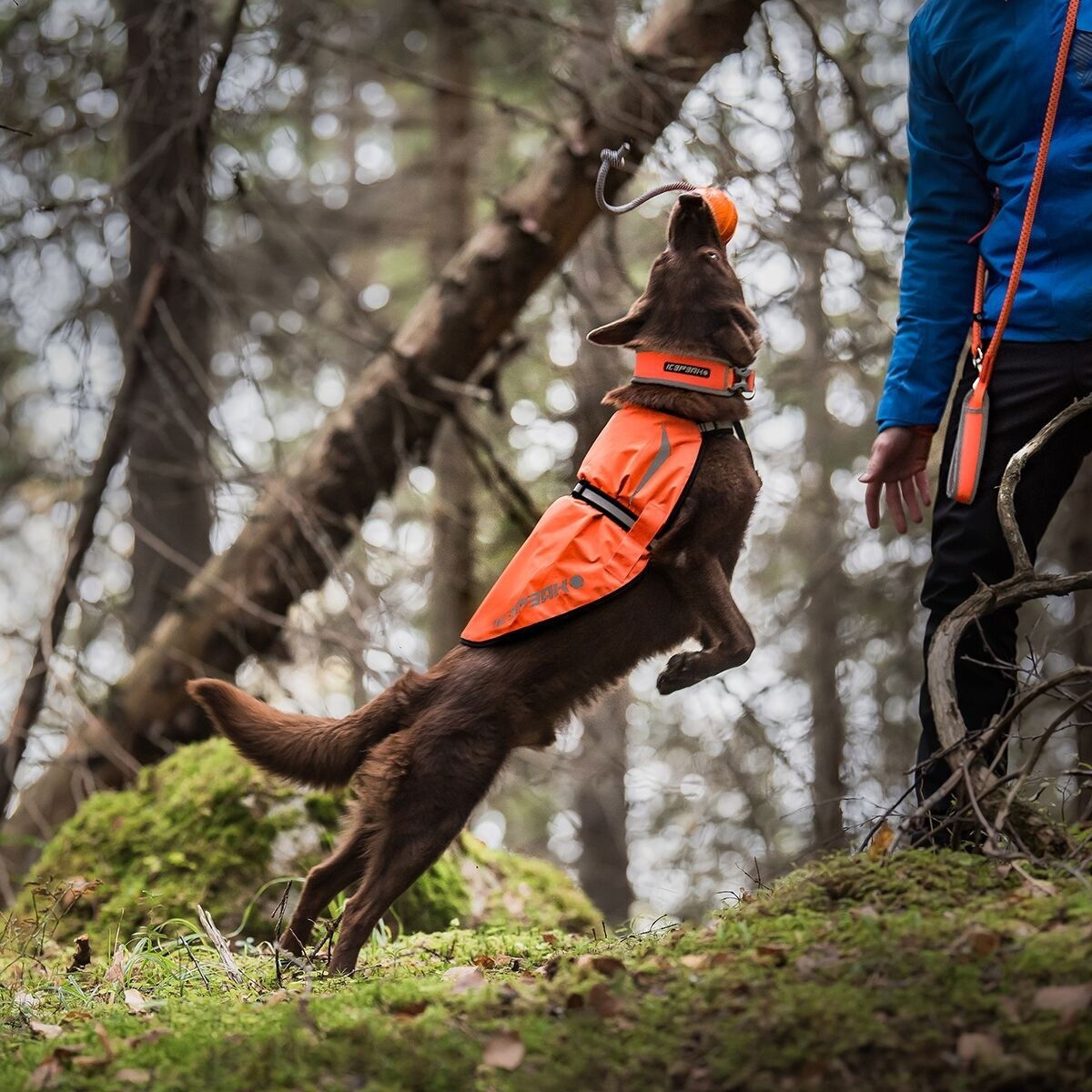 Icepeak Prozone reflect vest