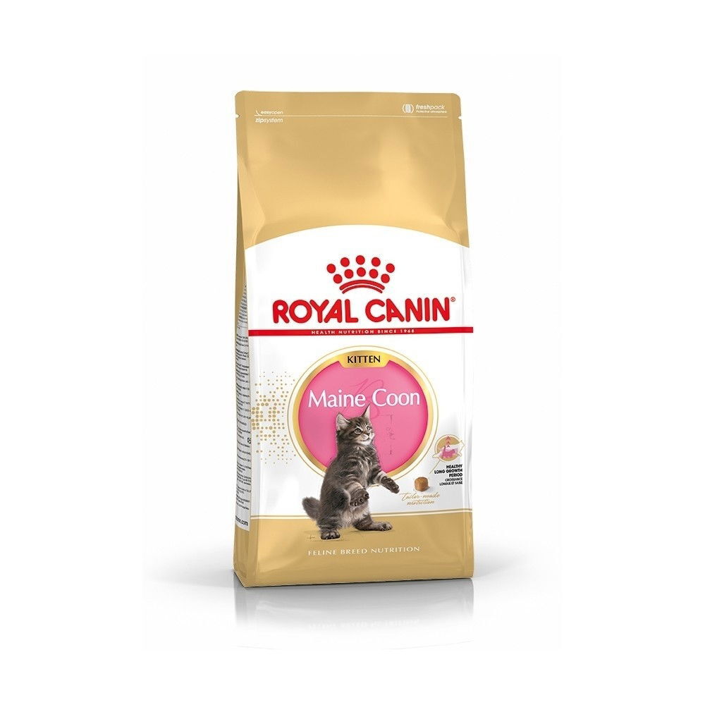 Royal Canin Maine Coon Kitten kissanpennun kuivaruoka