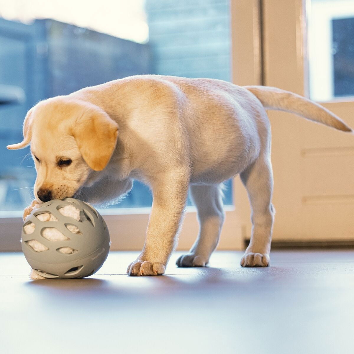 Beeztees puppy rubber play ball Odoro