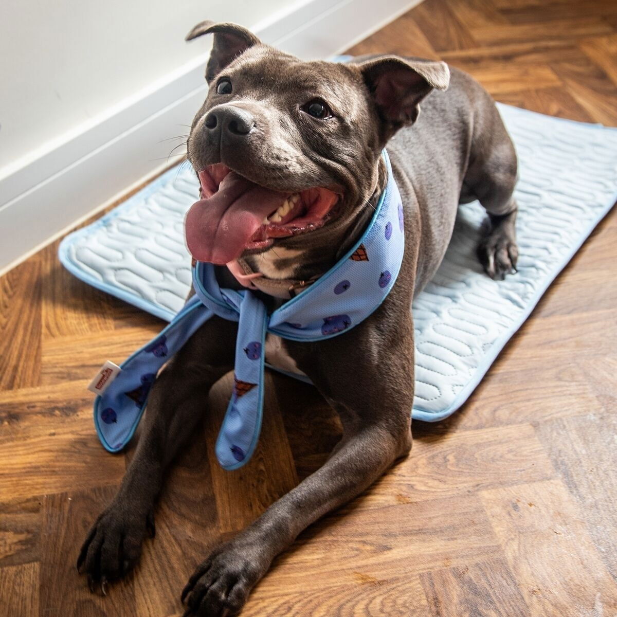 Rosewood viilennyshuivi