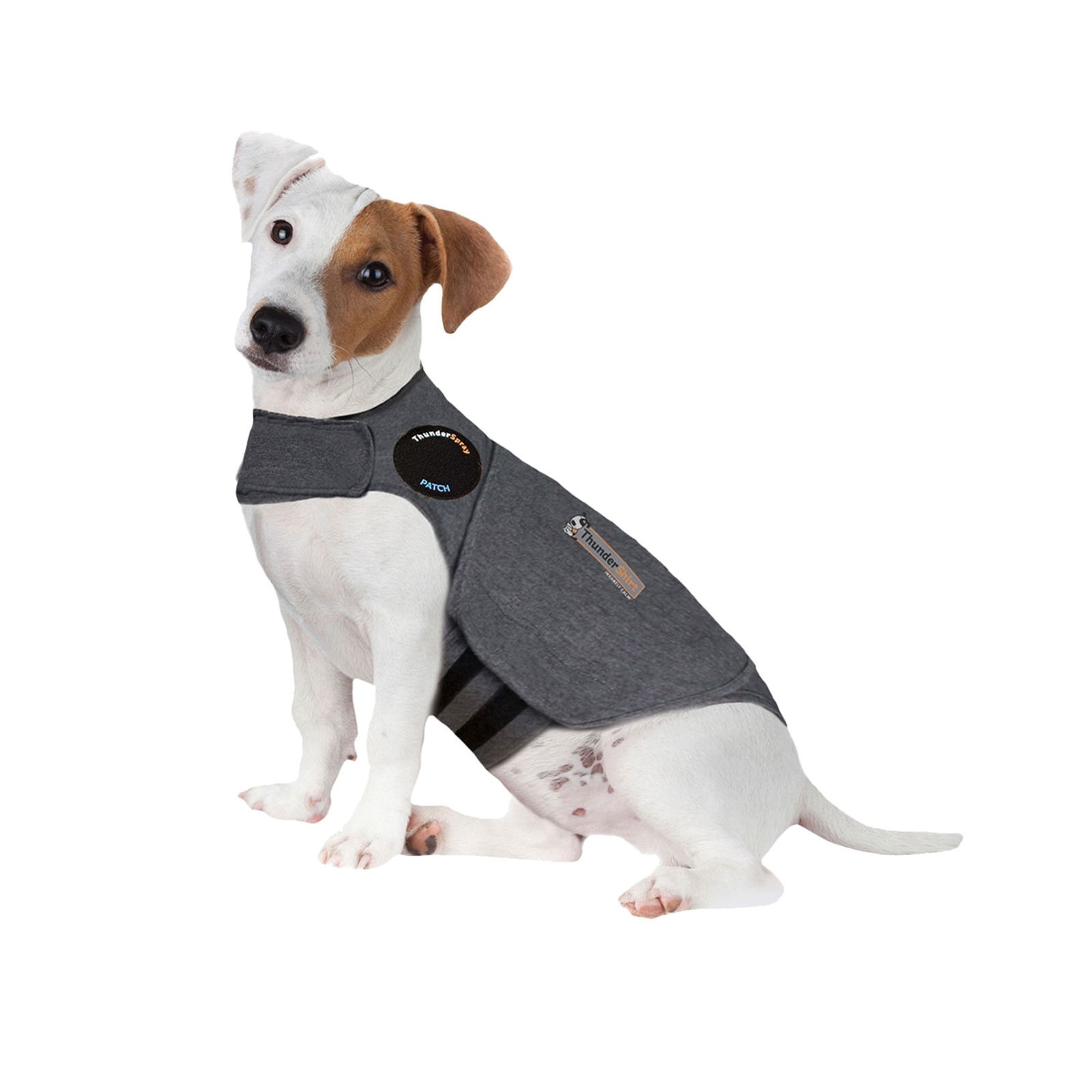 Thundershirt Dog