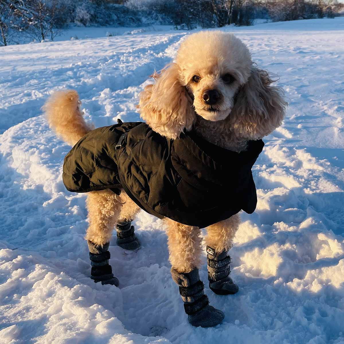 Feel Active Haga parka takki musta