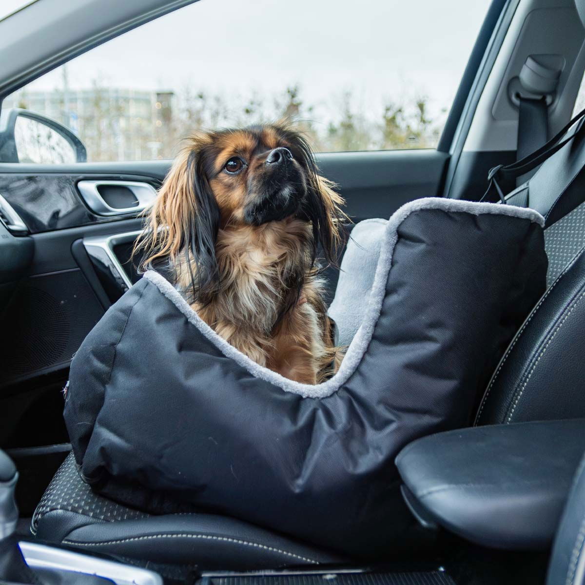 Pehmeä autoistuin koiralle Trixie