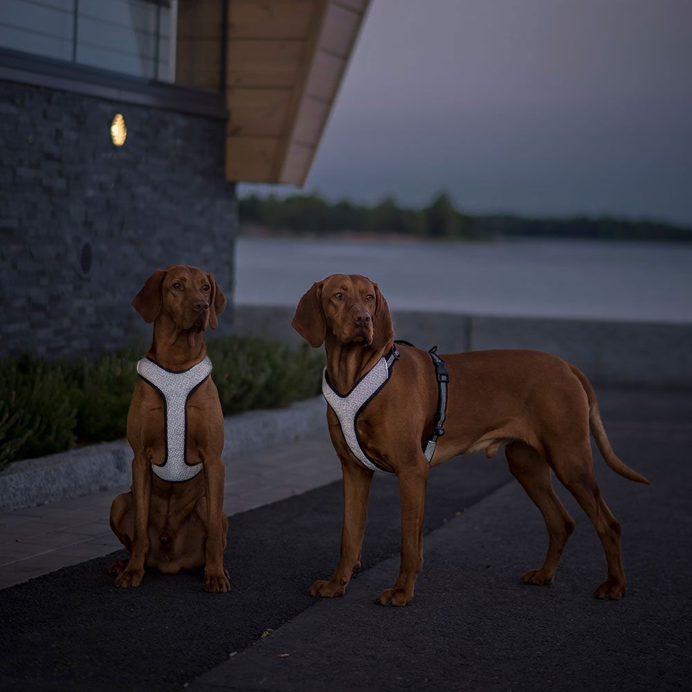 Feel Active Reflective heijastinvaljas musta