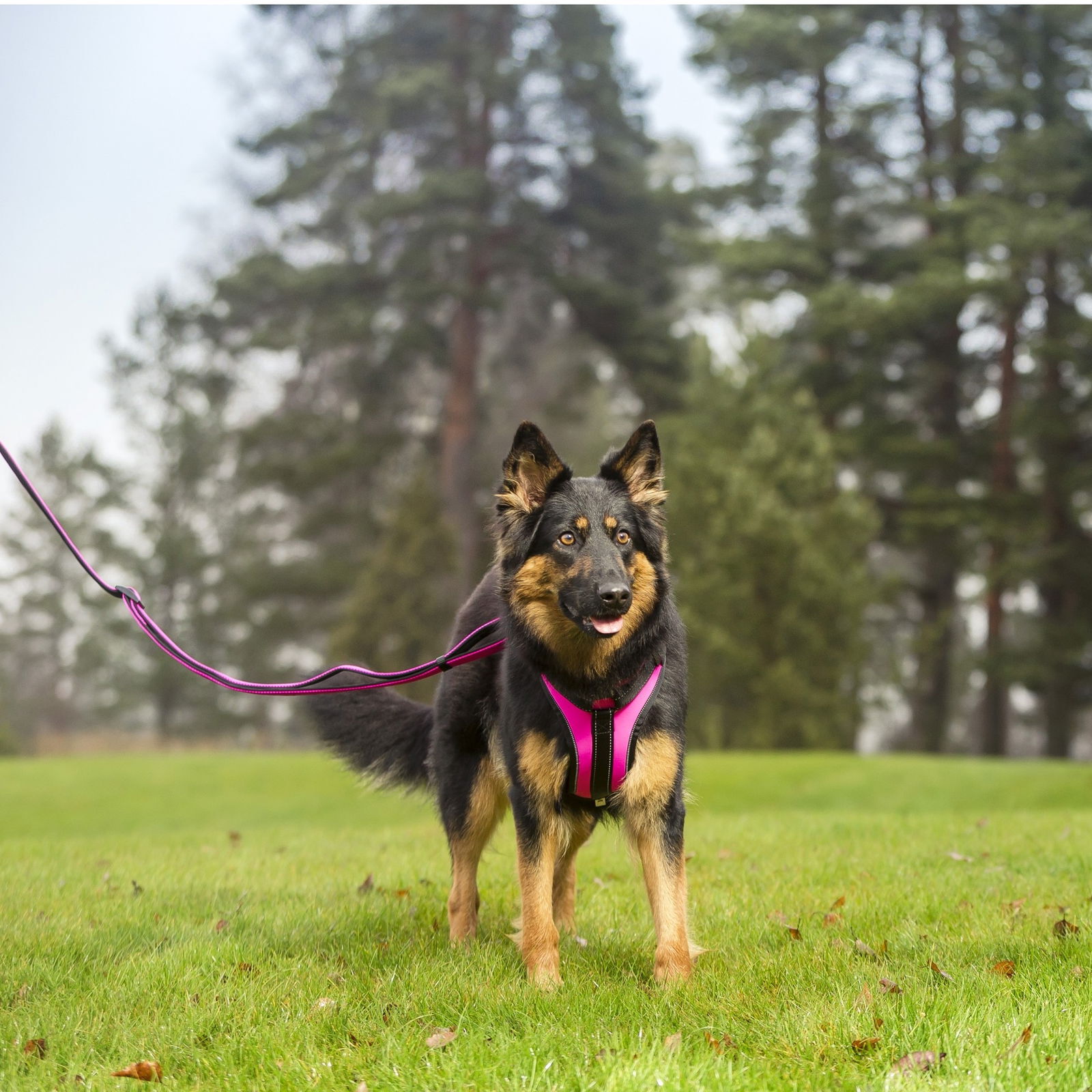 Rukka Solid valjas pinkki