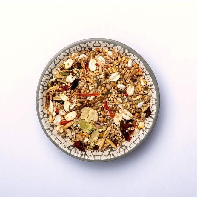 Bunny MouseDream Expert