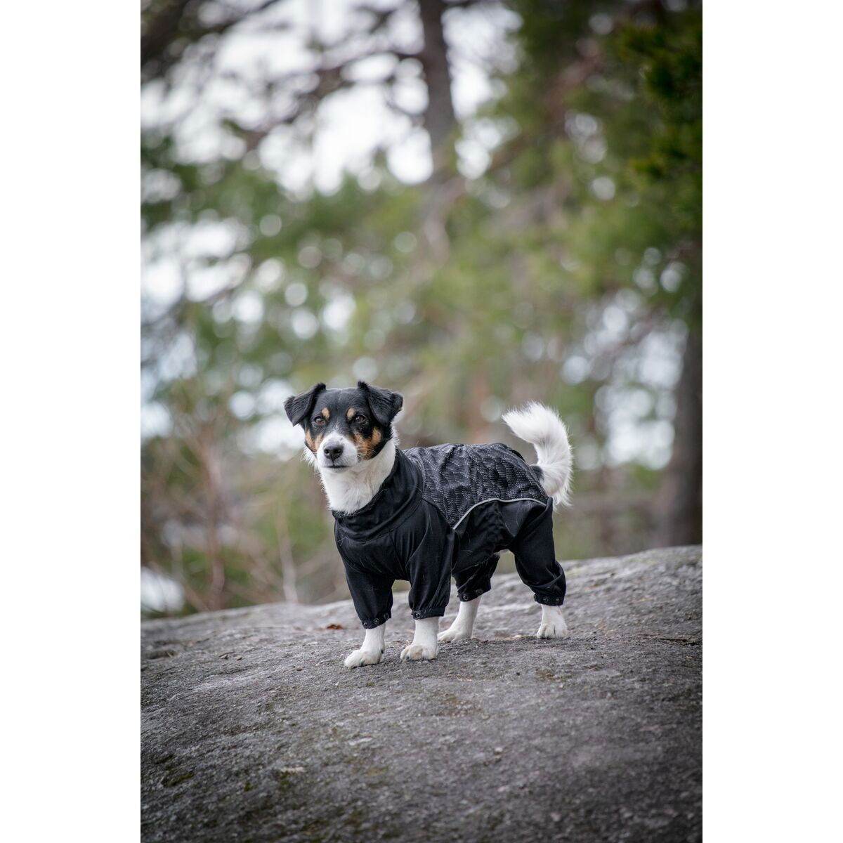 Feel Active Nimble haalari musta