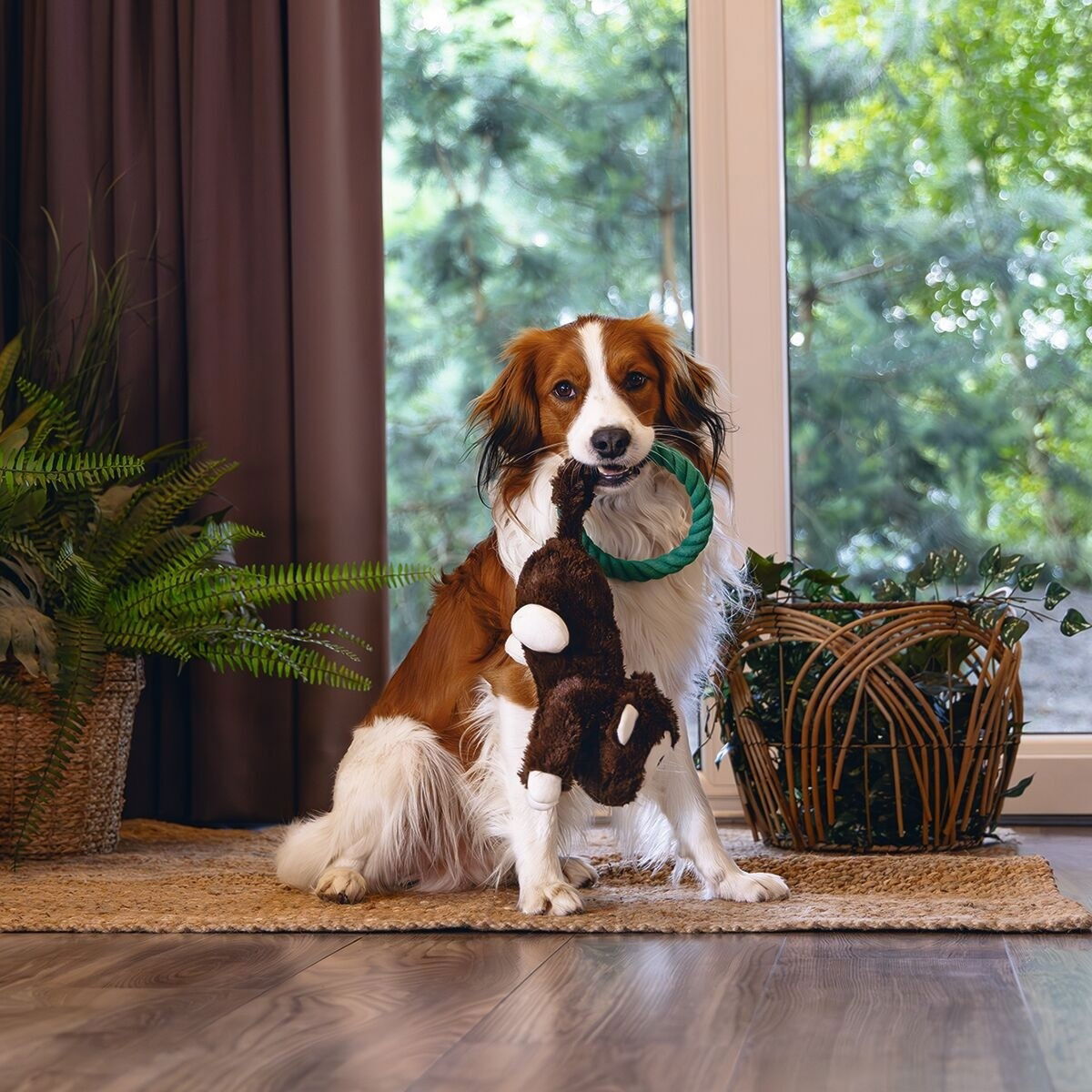 Beeztees Jungle Monkey Mats