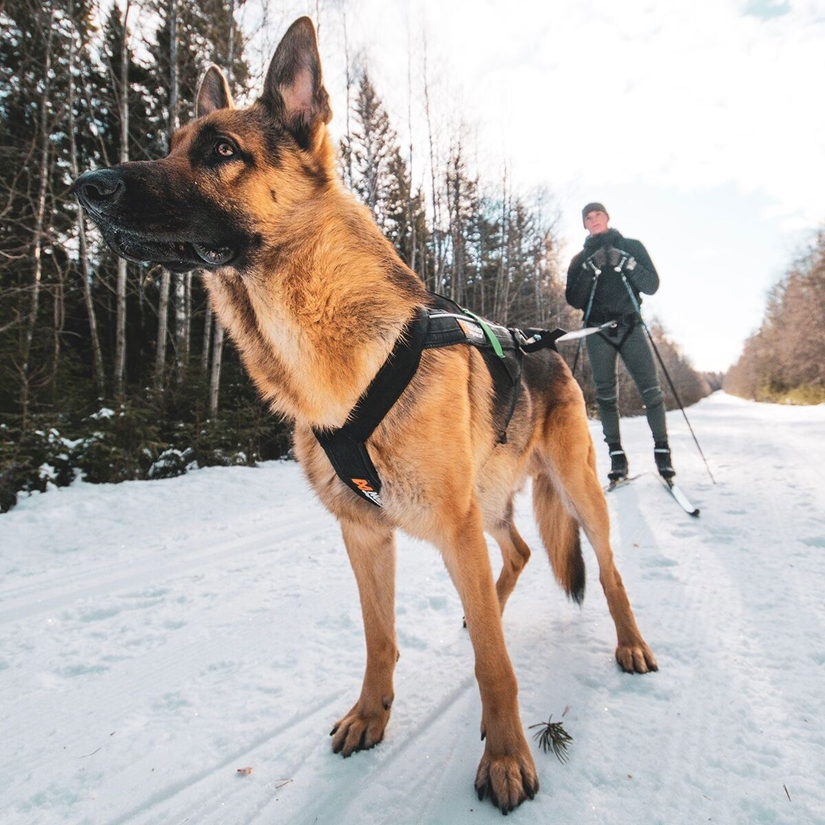 Non-stop Freemotion vetovaljas