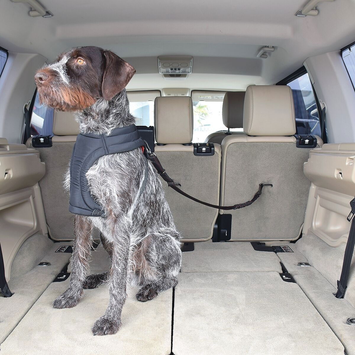 KONG Cargo Swivel Tether IsoFix