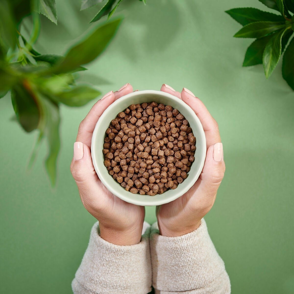 Purenatural Cat Kitten Duck