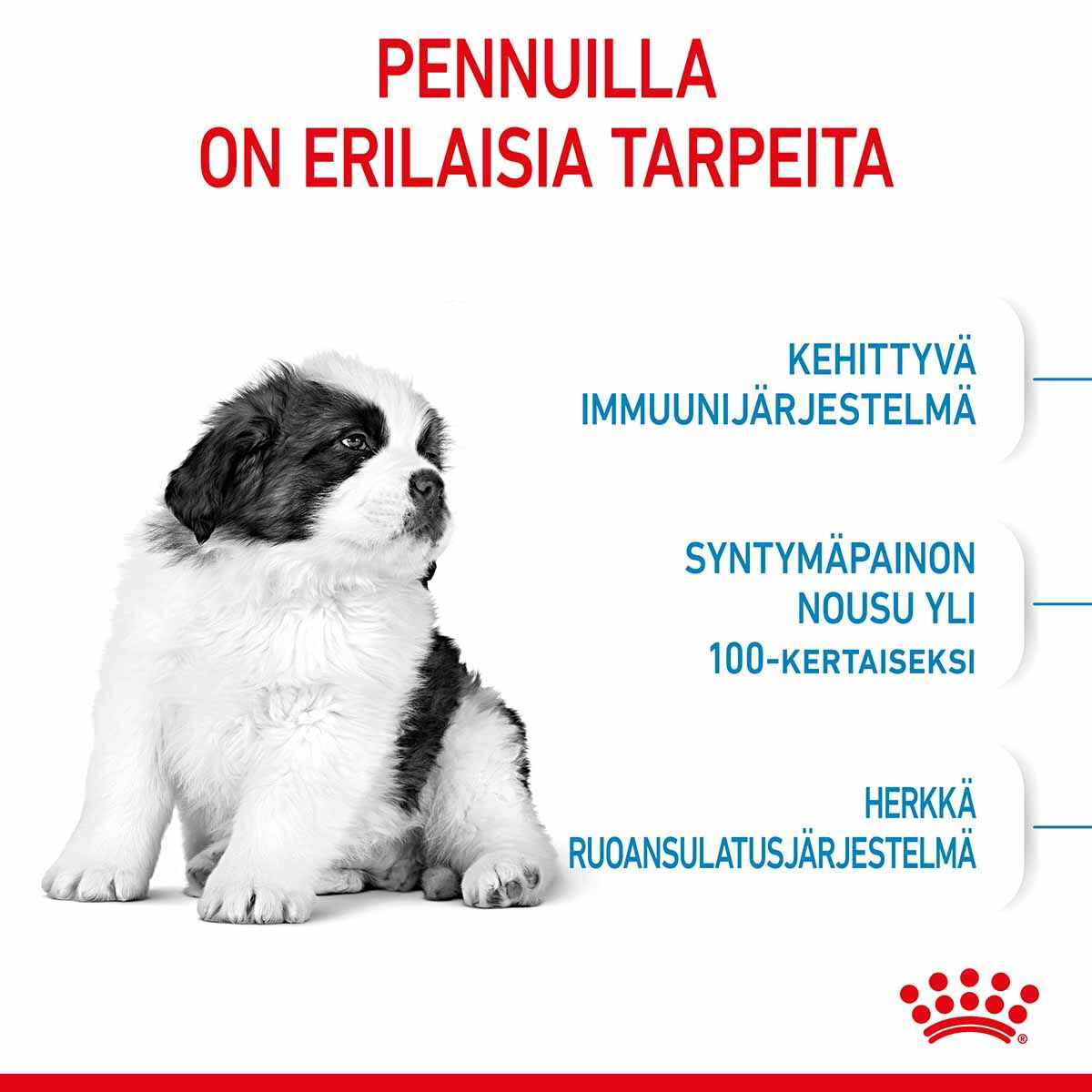 Royal Canin Giant Puppy koiranpennun kuivaruoka