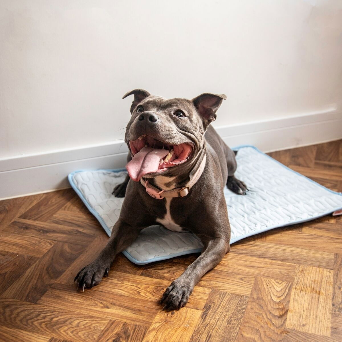 Rosewood viilennysalusta irtopäällisellä