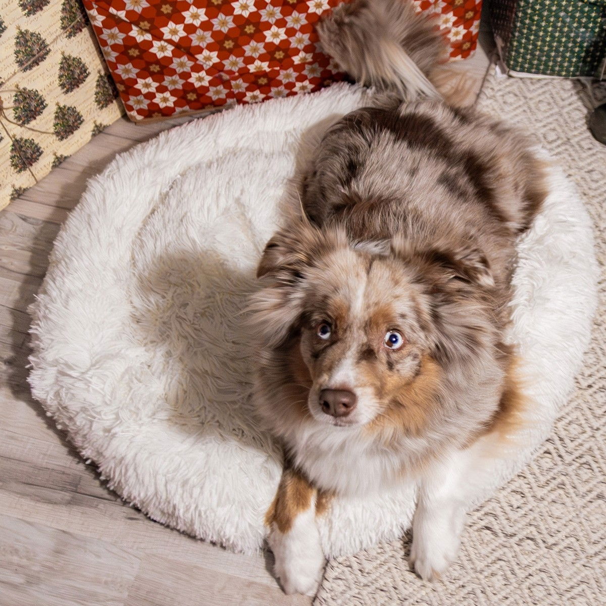 Lounge Scandinavia Calming bed white
