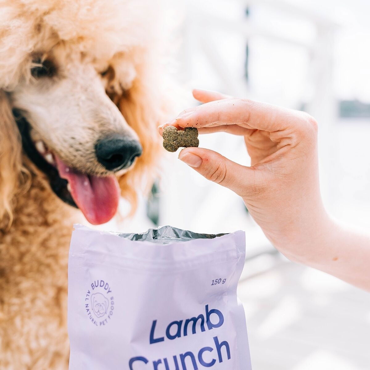 Buddy Lamb Crunch Dog Treats 150g