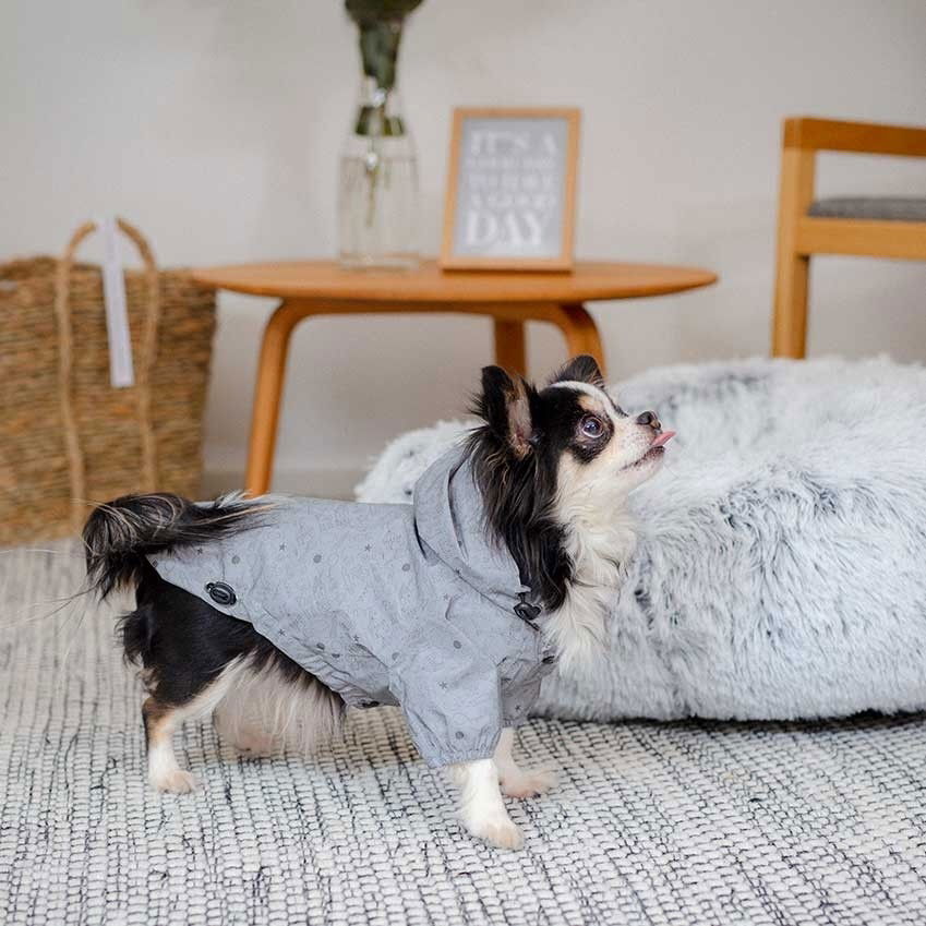 ItsyBitsy Typhoon sadehuppari heijastava