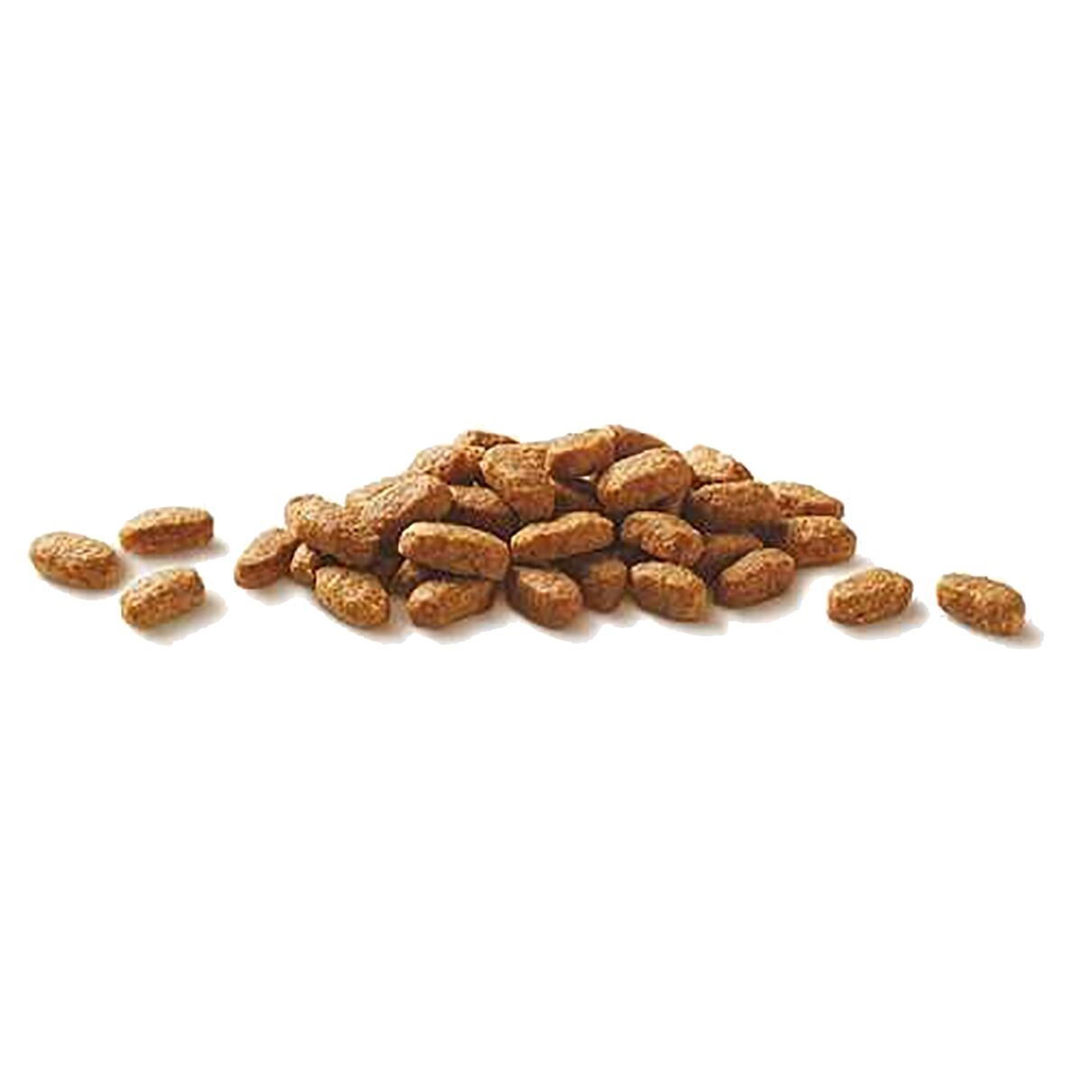 Purina ONE Adult Salmon