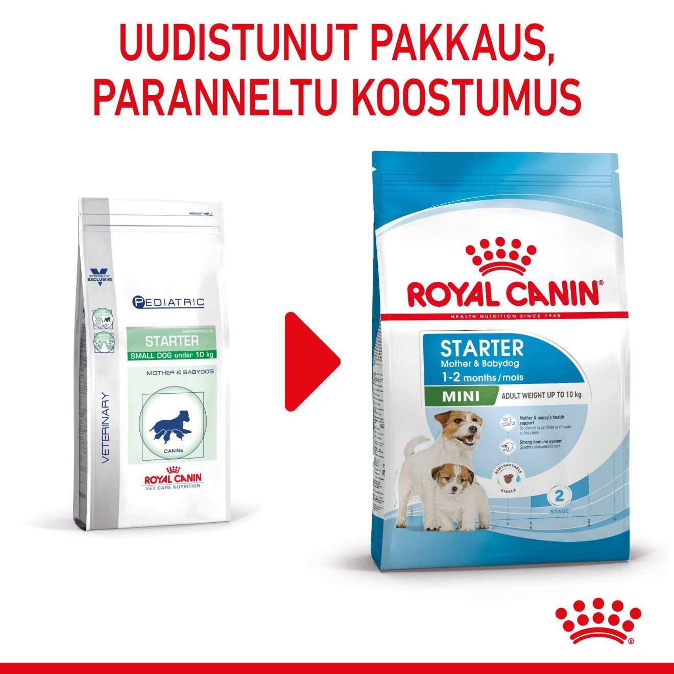 Royal Canin Mini Starter