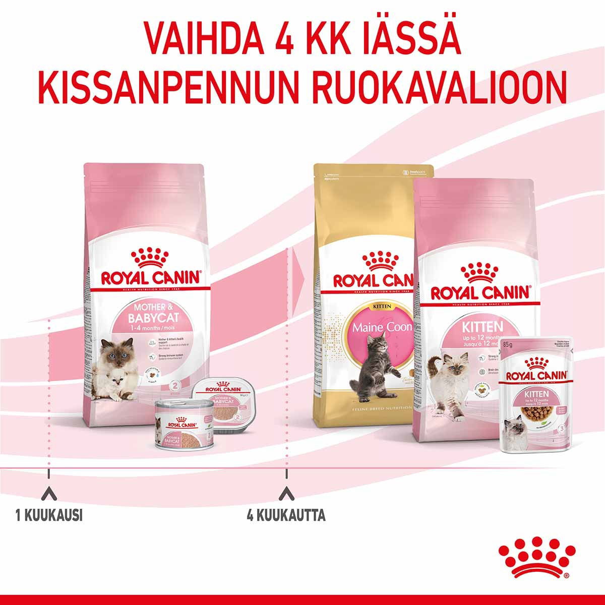 Royal Canin Mother & Babycat kissan ja kissanpennun kuivaruoka