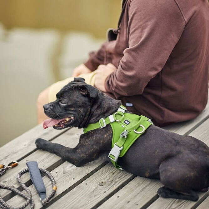 Hurtta Weekend Warrior II ECO valjas persilja