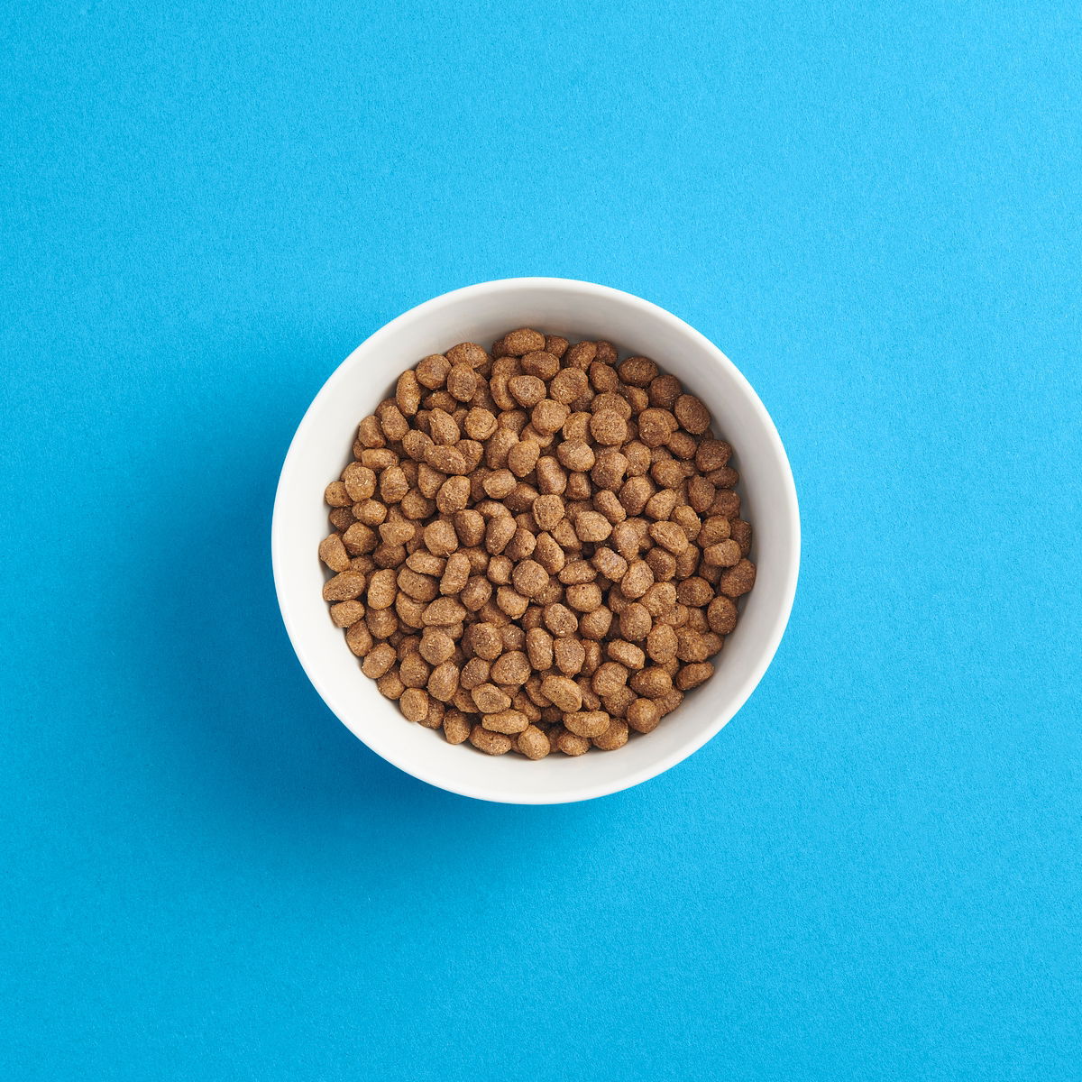 SMAAK koiranpennun kanaruoka